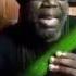 SICK OG Raps About Cucumber