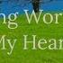 Young World In My Heart Tim Hirst Music Lyrics