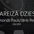 Nepareizā Dziesma Raimonds Pauls Dālderi Karaoke