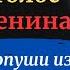 Живой голос Сергея Есенина Монолог Хлопуши отрывок из поэмы Пугачёв