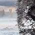 WILD YELLOWSTONE Ruthless Predators And Majestic Wilderness Nature Animal Documentary