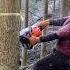 Stihl 261 Ms Forestry Japan