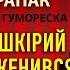 Гриць Драпак Як темношкірий женився Гумореска Смійтеся і регочіться