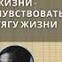 СТОРИЗ от АГНЕС МАРТИН арт цитата дня арт цитаты искусство культура художник живопись