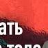 Что ожидать от нашего тела Лекция 2 Семинар Жизнь в городе с девятью вратами