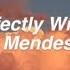 Perfectly Wrong Shawn Mendes Lyrics