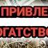 САМАЯ СИЛЬНАЯ Дуа НА ПРИВЛЕЧЕНИЕ ДЕНЕГ БОГАТСТВО И СЧАСТЬЯ салават дуа