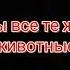 Фанатам Зверополиса рек мультфильм дисней зверополис джудихоббс бешенство Fypシ