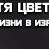 Актриса Настя Цветаева о жизни в Израиле