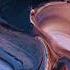 RÜFÜS DU SOL Until The Sun Needs To Rise 30min Loop Video