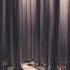 Ludovico Einaudi The Path Of The Fossils Day 6