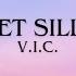 Get Silly V I C
