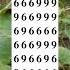 Observation Visual Test 5 Seconds For You To Spot 6996 Try Your Skills Search Puzzle Shorts