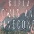 Kupla Owls And Pinecones Full Album