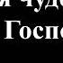 Хиллсонг Твоё имя прекрасно Бог МИНУС