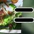 ОБЗОР на KREATUREX хищники юрского периода Вторая часть