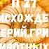 БИОЛОГИЯ 5 6 КЛАСС П 27 ПРОИСХОЖДЕНИЕ БАКТЕРИЙ ГРИБОВ ЖИВОТНЫХ И РАСТЕНИЙ АУДИО УЧЕБНИК СЛУШАТЬ