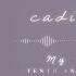 Ariana Grande Cadillac Song Official Audio