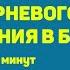 ПРИМЕР поиска корневого ограничения в бизнесе по методу Элияху Голдратта ТОС
