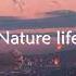 Alan Walker Nature Life New Music 2019