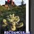 Beat Instagram S 4 5 Crop With This HACK