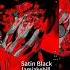 Satin Black Iamjakehill Jake Hill PHONK RAP