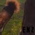 Enzo Ishall Magate Official Video