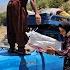 Nomadic Life Moving And Meeting Saladin S Parents