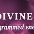 The Divine Love Programmed Energy