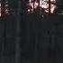 Отпугивающий защитно предупредительный рёв лося в сумеречном лесу у Красных озёр вечером 19 06 21