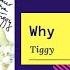 Tiggy Why 1997