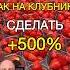 Как заработать на клубнике Reels бизнес александртен инвестиции