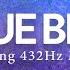 Bluebell Awaken The Ancient Spark Within Healing Rhythms From The Deep Forest 432Hz Handpan