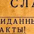 Что на самом деле ели в Древней Руси блюда которые Вас сильно удивят