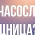 Что такое часослов полунощница