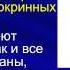 Теоретические основы современной физиотерапии 2