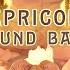 Capricorn Sound Bath Astrology Meditation Music Earth Sign