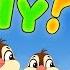 Why Birds Not Get An Electric Shock When Sits In Live Wire I Wonder Why Fun Facts Video For Kids