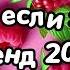 Танцуй если знаешь этот тренд 2024 года