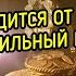 ОСВОБОДИТСЯ ОТ ДОЛГОВ ВУДУ СИЛЬНЫЙ РИТУАЛ ДЛЯ ВСЕХ ВЕДЬМИНА ИЗБА МАГИЯ