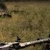 War Day By Day Through The Eyes Of A German Hot Battles Near Kiev