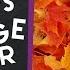 Why Do Leaves Change Colors In The Fall Biology For Kids SciShow Kids