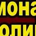 Чадо иеромонаха Анатолия Киевского в эфире