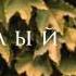 Слава скоро клип Спелый мой By Palazzoeventi Production Палаццоевенти продакшен