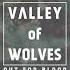 Valley Of Wolves Reckless Acoustic Version Official Audio