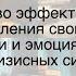 Искусство эффективного управления своими мыслями и эмоциями во время кризисных ситуаций