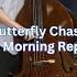 Butterfly Chase The Morning Report