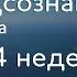 1 2 3 и 4 неделя Джо Диспенза Медитация Сила подсознания Части тела аюмедитэйшн