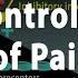 Gate Control Theory Of Pain Animation