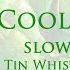 COOLEY S REEL Tin Whistle Tabs PLAYED SLOW AND SIMPLE